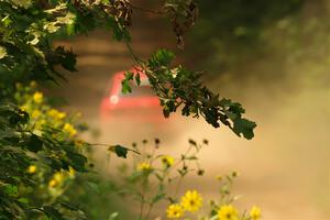 Krishna Gandhi / Jake Baxter Subaru Impreza Wagon on SS2, Thorpe Tower I.