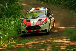 Roberto Yglesias / Sara Nonack Ford Fiesta ST on SS10, Otterkill I.