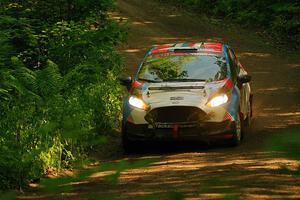 Henry Tabor / Ethan Curtis Ford Fiesta ST on SS10, Otterkill I.