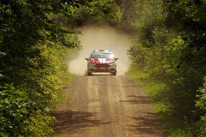 Roberto Yglesias / Sara Nonack Ford Fiesta ST on SS13, Anchor-Mattson I.