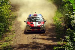 Roberto Yglesias / Sara Nonack Ford Fiesta ST on SS13, Anchor-Mattson I.