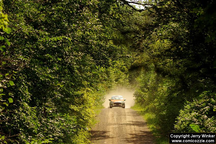 Brent Lucio / Stefan Trajkov Ford Fiesta on SS13, Anchor-Mattson I.