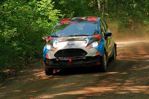 Henry Tabor / Ethan Curtis Ford Fiesta ST on SS14, Otterkill II.