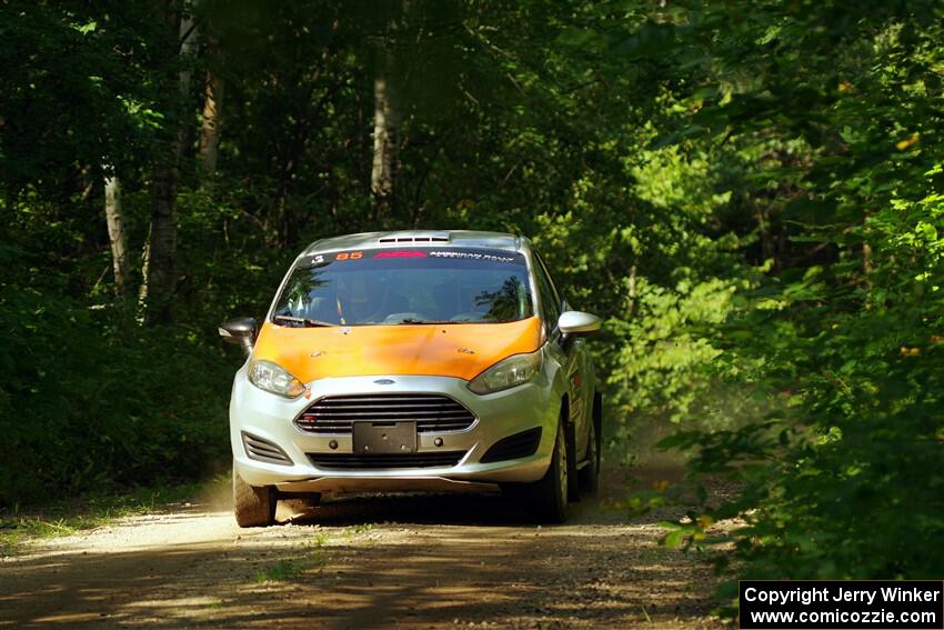 Brent Lucio / Stefan Trajkov Ford Fiesta on SS14, Otterkill II.