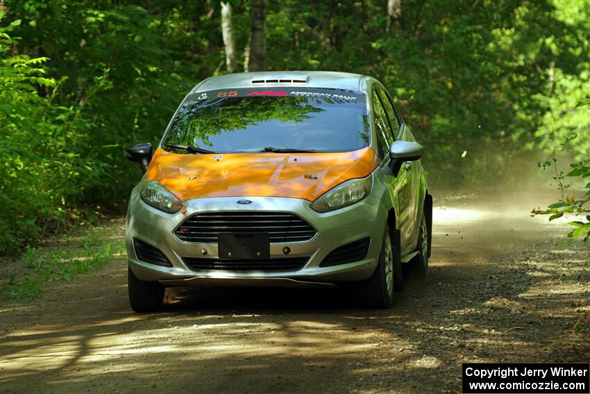 Brent Lucio / Stefan Trajkov Ford Fiesta on SS14, Otterkill II.