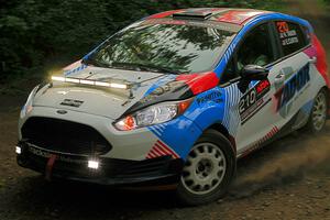 Henry Tabor / Ethan Curtis Ford Fiesta ST on SS18, Otterkill III.