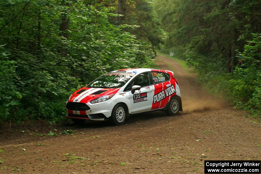 Roberto Yglesias / Sara Nonack Ford Fiesta ST on SS18, Otterkill III.