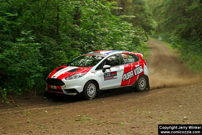 Roberto Yglesias / Sara Nonack Ford Fiesta ST on SS18, Otterkill III.