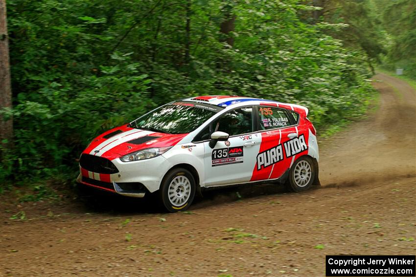 Roberto Yglesias / Sara Nonack Ford Fiesta ST on SS18, Otterkill III.