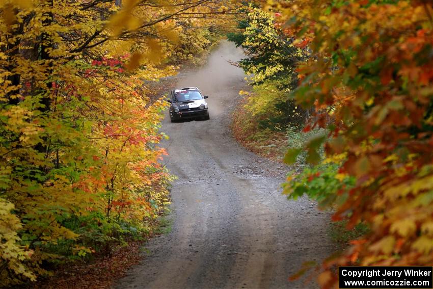 John Farrow / Michael Farrow Subaru WRX on SS15, Double Trouble.