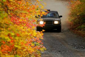 Adam Brock / Shanti Witt Volvo 244 on SS15, Double Trouble.