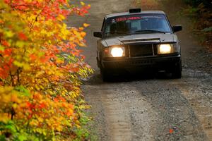 Adam Brock / Shanti Witt Volvo 244 on SS15, Double Trouble.