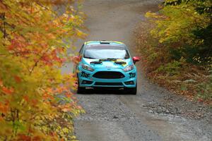 Tevfik Peker / Jamie Beliveau Ford Fiesta ST on SS15, Double Trouble.