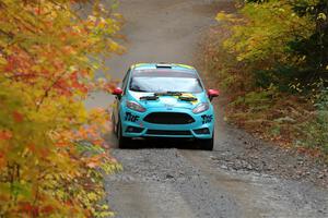 Tevfik Peker / Jamie Beliveau Ford Fiesta ST on SS15, Double Trouble.