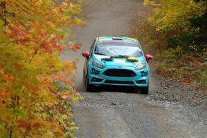 Tevfik Peker / Jamie Beliveau Ford Fiesta ST on SS15, Double Trouble.