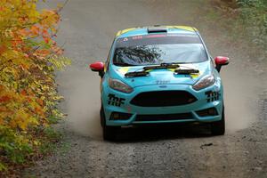 Tevfik Peker / Jamie Beliveau Ford Fiesta ST on SS15, Double Trouble.