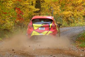 Tevfik Peker / Jamie Beliveau Ford Fiesta ST on SS15, Double Trouble.