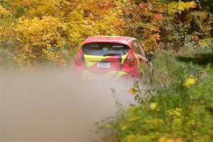 Tevfik Peker / Jamie Beliveau Ford Fiesta ST on SS15, Double Trouble.