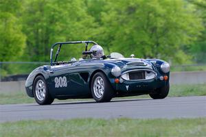 Eileen Wetzel's Austin-Healey 3000