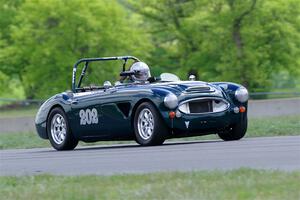 Eileen Wetzel's Austin-Healey 3000