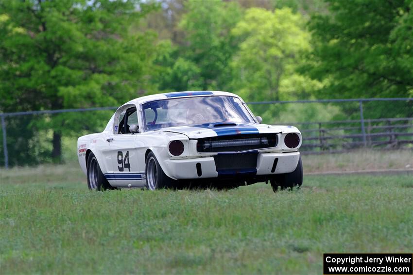 Brian Kennedy's Ford Shelby GT350