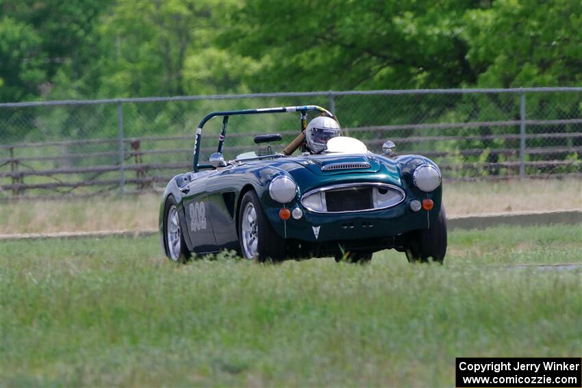 Eileen Wetzel's Austin-Healey 3000