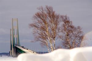 Mackinac Bridge