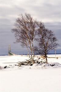 Mackinac Bridge