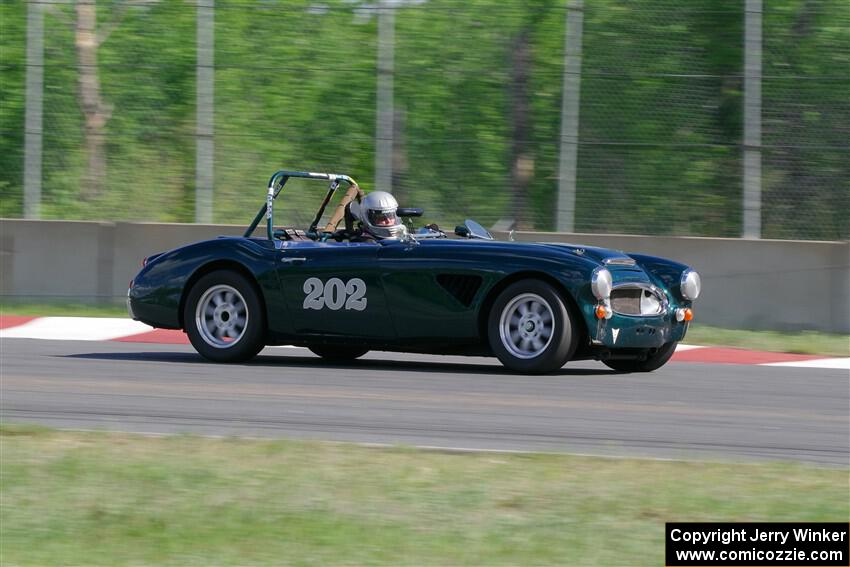 Eileen Wetzel's Austin-Healey 3000