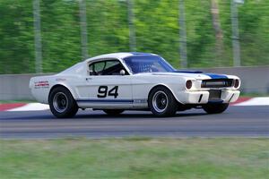 Brian Kennedy's Ford Shelby GT350