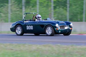 Eileen Wetzel's Austin-Healey 3000