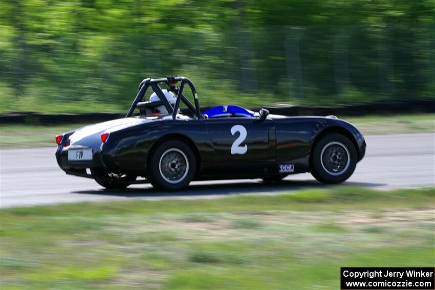 Phil Schaefer's Austin-Healey Sprite