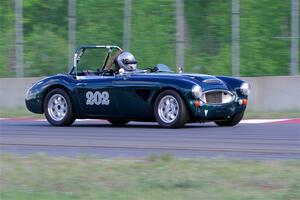 Eileen Wetzel's Austin-Healey 3000