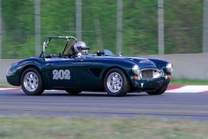 Eileen Wetzel's Austin-Healey 3000