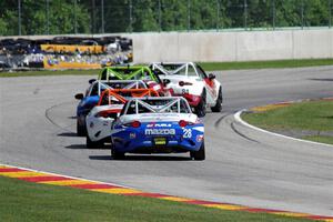 Todd Lamb's, Nathanial Sparks', Robert Stout's, Bryan Ortiz's and Patrick Gallagher's Mazda MX-5 Cups