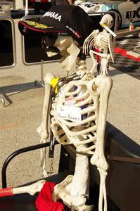 Mascot for one of the Porsche GT3 Cup teams.