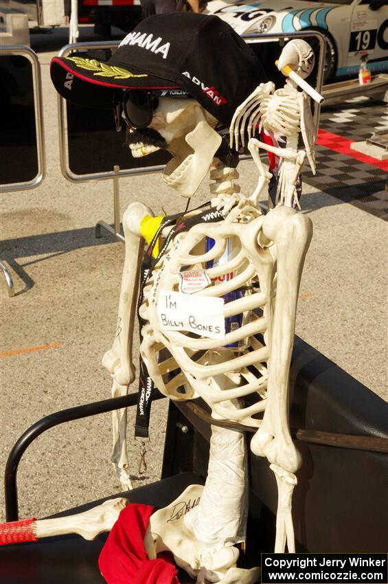 Mascot for one of the Porsche GT3 Cup teams.