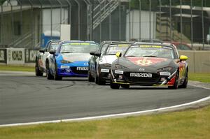 Brian Henderson's, Robert Noaker's, Alex Bachoura's, Nick Igdalsky's and Brooks Leal's Mazda MX-5 Cups