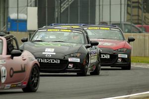 Assen Rachev's Mazda MX-5 Cup