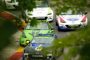 Todd Lamb's, Hernan Palermo's, Robert Stout's and Bryan Ortiz's Mazda MX-5 Cups