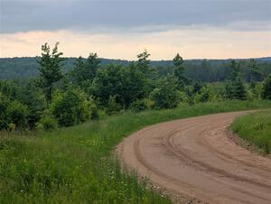 The view for SS2, Skunk Creek.