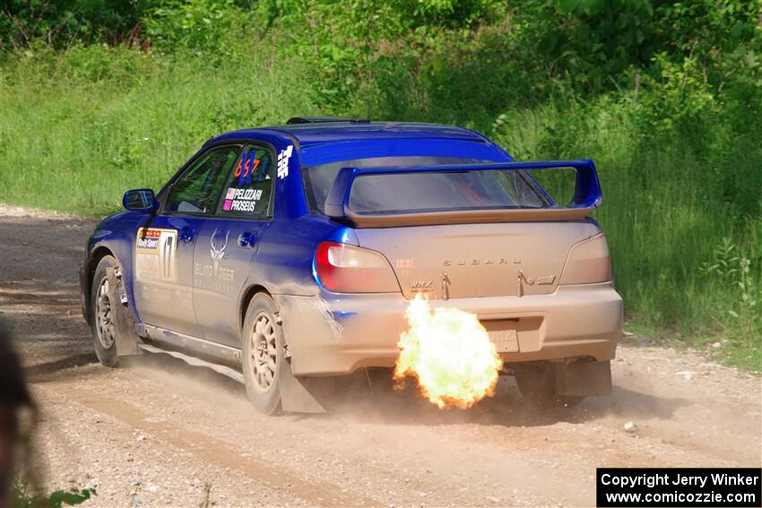 Jimmy Pelizzari / Bryce Proseus Subaru WRX on SS4, Hollow Woodtick.