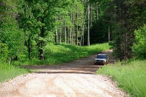 Adam VanDamme / Morgan Engle VW Golf on SS4, Hollow Woodtick.