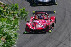Wayne Williams' Radical SR10