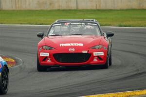 IMGP3295