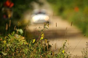 Georgie Megennis / Michael Szewczyk Ford Fiesta Rally3 on SS3, Refuge I.