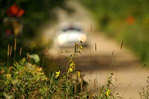 Georgie Megennis / Michael Szewczyk Ford Fiesta Rally3 on SS3, Refuge I.