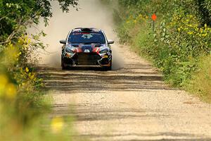 Cameron Steely / Steve Harrell Ford Focus RS on SS3, Refuge I.