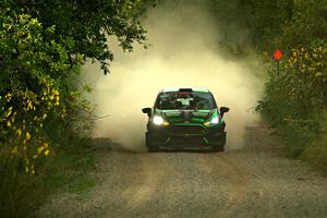 Nick Tippman / David Tippman Ford Fiesta ST on SS7, Refuge II.