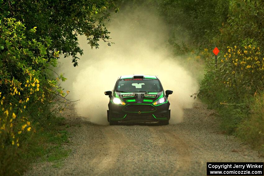 Nick Tippman / David Tippman Ford Fiesta ST on SS7, Refuge II.